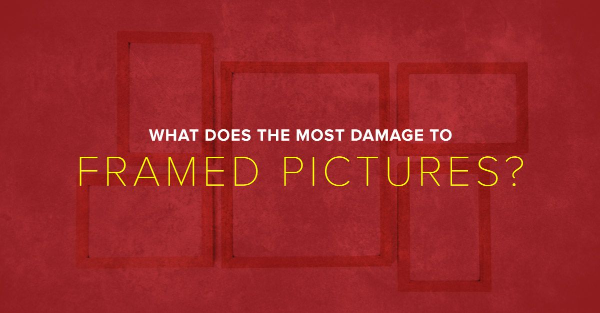 5 Common Causes of Photo Damage