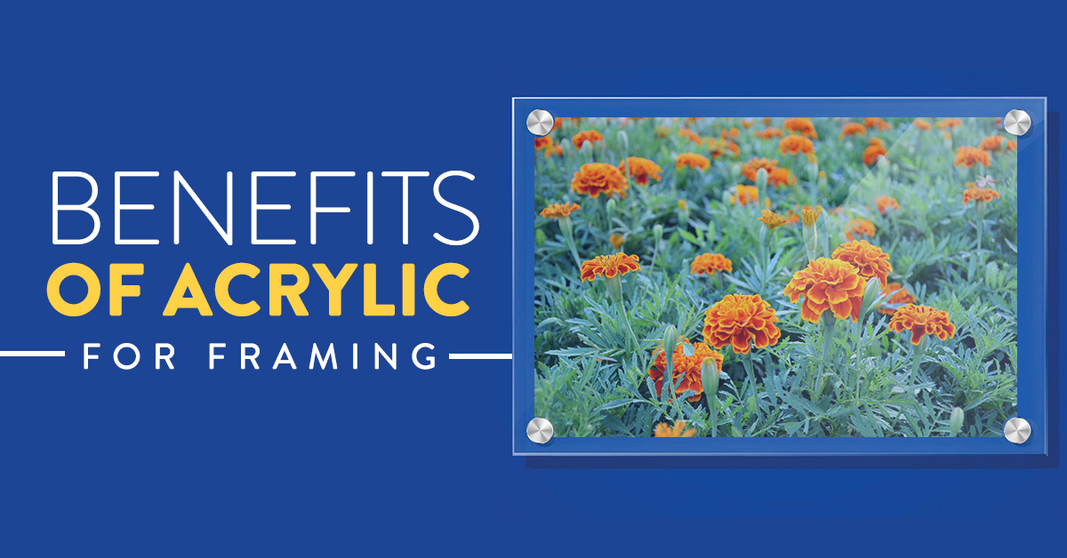 What Are the Benefits of Acrylic vs Glass for Picture Framing?