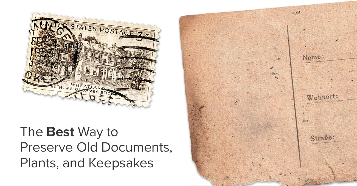 The Best Way to Preserve Old Documents, Plants, and Keepsakes