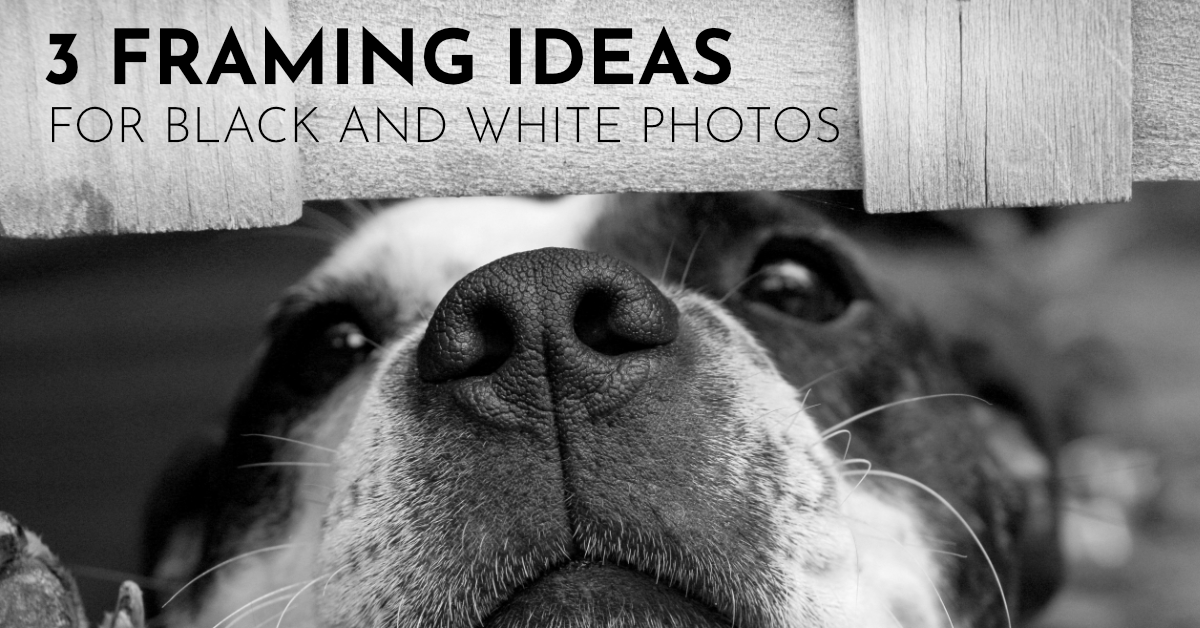 3 Framing Ideas for Black and White Photos