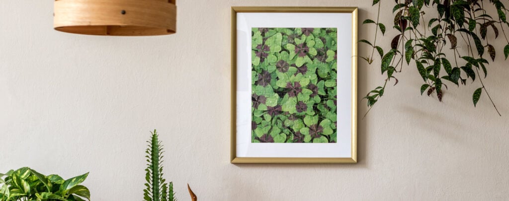 Image of framed jigsaw puzzle on wall. 